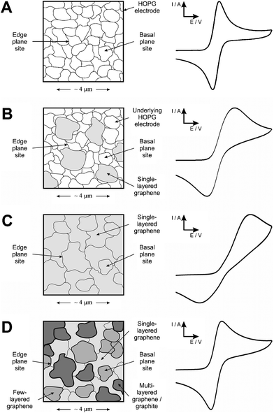 Schematic representation of the effect on the voltammetric performance resulting from differing coverages of graphene using a simple outer-sphere electron transfer redox probe. (A) represents an unmodified HOPG electrode surface where fast electron transfer kinetics are observable, (B) after modification with graphene leading to incomplete coverage where reduced electron transfer rates occur, (C) after modification with graphene leading to complete single layer coverage where due to the large basal content of graphene (in contrast to edge plane) poor electrochemical activity is observed where electron transfer is effectively blocked, and (D) after continual modification with graphene leading to layered structures with increased edge plane sites available (origin of fast electron transfer) and thus an improvement in the electrochemical response is observed.