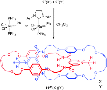 Synthesis of [2]catenanes 112+(X−)(Y−)