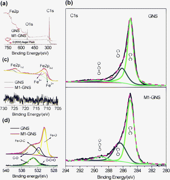 (a) XPS spectra of GNS and M1-GNS, and their (b) C1s, (c) O1s, and (d) Fe2p spectra.
