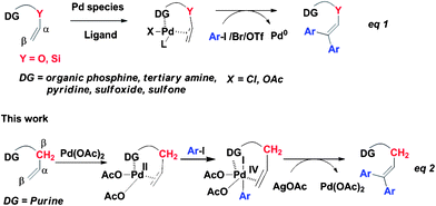Different catalytic cycles for Pd-catalyzed diarylation Heck reaction of olefins.