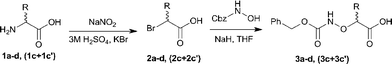 Synthesis of N-Cbz-protected (α-aminoxy)carboxylic acids 3a–d, (3c + 3c′).