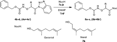 Synthesis of O-(protected-α-aminoxyacyl)terpenes 8a–c, (8b + 8b′).