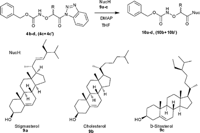 Synthesis of O-(protected-α-aminoxyacyl)steroids 10a–d, (10b + 10b′).