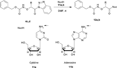 Synthesis of N-(protected-α-aminoxyacyl)nucleosides 12a,b.