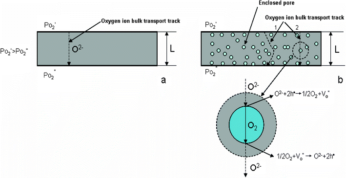 Diagram of oxygen bulk transport processes through dense membranes, (a) ideal fully dense membrane; (b) membrane with some closed non-connected pores.