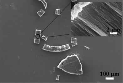 
          Taxol
          nanowires without surface modification (200 nm diameter) fused together to form large micron sized chunks. Inset: A close-up view of the surface showing 200 nm diameter nanowires fused together.