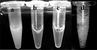 SM-TN dispersed in PBS solution. a) 200 nm, b) 80 nm, c) 35 nm. All the solutions have similar concentration of Taxol (~400 μg/ mL). The 200 nm nanowires scatter light thus appearing turbid. d) Unmodified 200 nm Taxol nanowires suspended in water.