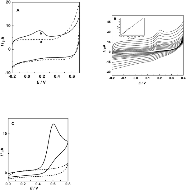
            CVs of NADH at CS-coated (A) and bare (C) GC electrode in 0.1 M phosphate buffer (pH 7.0) in the presence (solid line) or absence (dotted line) of 0.5 mM of NADH with a scan rate of 20 mV s−1, and (B) CVs obtained at CS-coated GC electrode in 0.1 M phosphate buffer (pH 7.0) containing 0.5 mM NADH at different scan rates (from inside to outside: 5, 10, 20, 30, 40, 50, 60, 80, 100, 150, 200, 250, 300 mV s−1). The linear dependence of peak current on the square root of scan rate is shown in the inset.