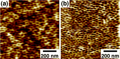 
          AFM images of a 57 K PS-b-PMMA-derived nanoporous film (31 nm thick) on a gold substrate (a) before and (b) after organic-phase esterification with FcCO(CH2)15OH. Δz = 6.4 nm.