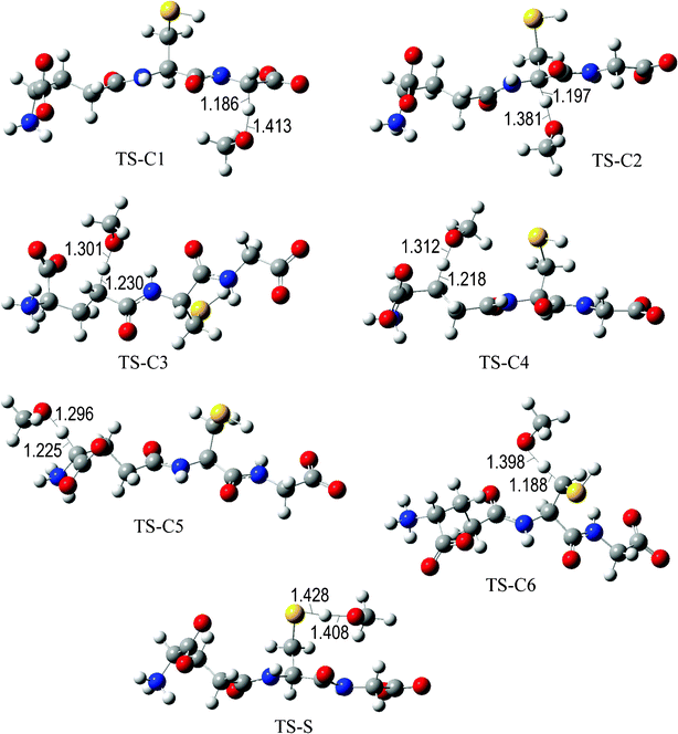Transition states involved in the GS− + ·OCH3 reaction.