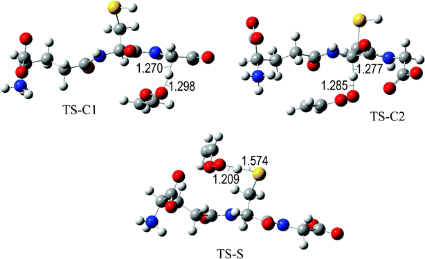 Transition states involved in the GS− + ·OOCHCH2 reaction.