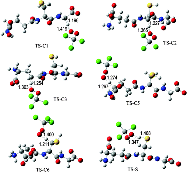 Transition states involved in the GS− + ·OOCCl3 reaction.