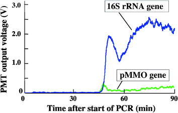 Result of the 16S rRNA gene and pMMO gene amplification during dive #853 in the Hatoma Knoll hydrothermal site, Okinawa, Japan.
