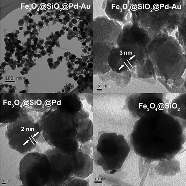 
          TEM and HRTEM images of samples (∼3 nm Pd-Au nanoparticles in Fe3O4@SiO2@Pd-Au and ∼2 nm Pd nanoparticles in Fe3O4@SiO2@Pd).