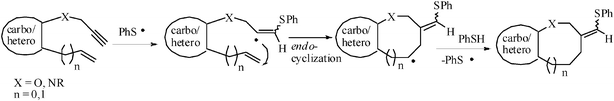 
          Endo-trig mode of cyclizaion of sulphanyl radical addition intermediate.