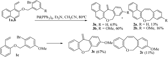 Synthesis of benzoxepine and benzoxocine derivatives.