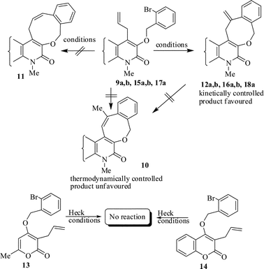 Formation of kinetically controlled vs. thermodynamically controlled products.