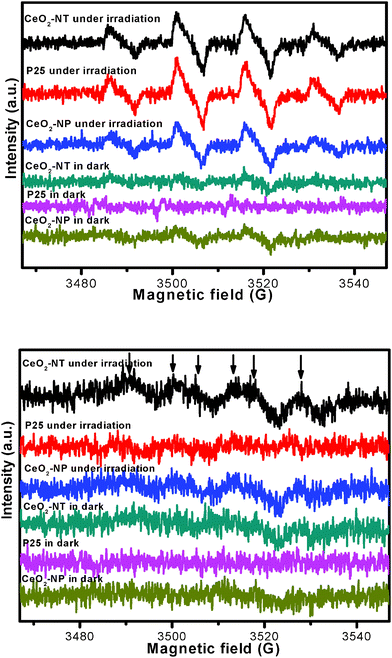 
          ESR spectra of radical adducts trapped by DMPO; (top) DMPO–˙OH radical species detected for the samples dispersion in water; (bottom) DMPO–O2˙− radical species detected for the sample dispersions in methanol.