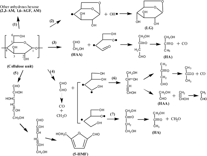 The speculative chemical pathways for the primary decomposition of cellulose monomer.21