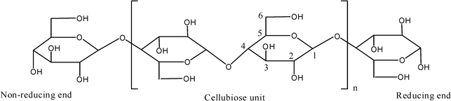 The central part (cellubiose unit) of a cellulose molecular chain with reducing and non-reducing end groups.
