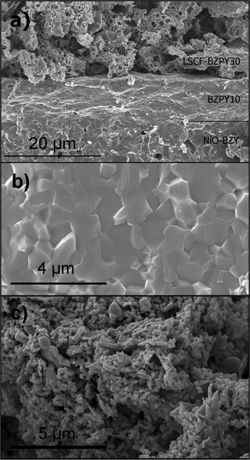 Cross-section FE-SEM micrograph of the NiO-BZY/BZPY10/LSCF-BZPY30 complete cell (a); high magnification micrographs of the BZPY10 electrolyte (b), and of the LSCF-BZPY30 cathode (c).