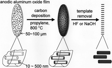 Scheme for the template carbonization using anodic aluminum oxide film (courtesy of Prof. T. Kyotani of Tohoku University, Japan).