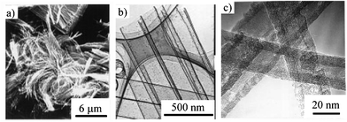 
          SEM image (a) and TEM images (b and c) of carbon tubules prepared by template carbonization using anodic aluminum oxide film (courtesy of Prof. T. Kyotani of Tohoku University, Japan).