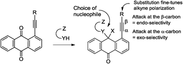 The delicate balance between endo and exo ring closure is controlled by the choice of nucleophile as well as electronic character of substituents on the alkyne.