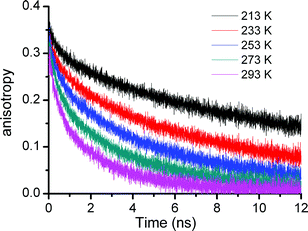 
            Fluorescence anisotropy decay of the G4 dendrimer in chloroform at temperatures between 213 K and 293 K.