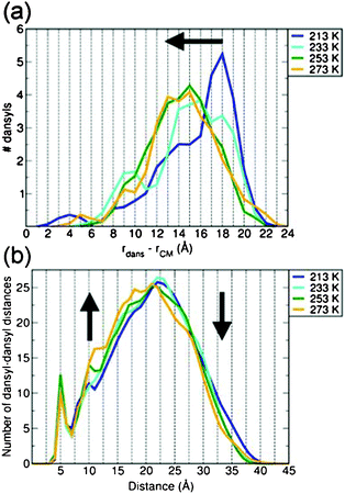 (a) Time-averaged occurrence histogram of the distances between the dansyls and centre of mass (CM) of G4 at several temperatures. (b) Time-averaged dansyl–dansyl distance occurrence histograms at the same temperatures. The temperature-induced shifts in the calculated distributions have been highlighted by black arrows. All distributions have been generated on the basis of 1 Å sampling grids, and normalized to the total number of dansyl fragments (32) and dansyl-dansyl distances (496), in panel (a) and (b), respectively.