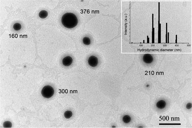 
          TEM micrograph of prepared SLN (insert: hydrodynamic diameter of SLN as determined by DLS).
