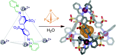Encapsulation of white phosphorus by a self-assembled tetrahedral cage complex.