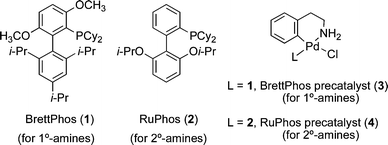 Ligands and precatalysts used in these studies for Pd-catalyzed C–N bond formation (1 and 3 are used for primary amines, 2 and 4 are used for secondary amines).