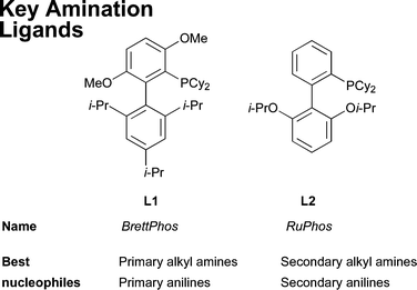 Key dialkylbiaryl phosphine ligands for amination.