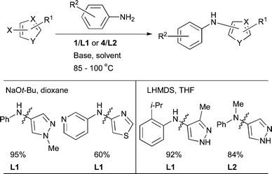 
            Amination of 5-membered ring heteroaryl halides using L1 or L2 as ligand.