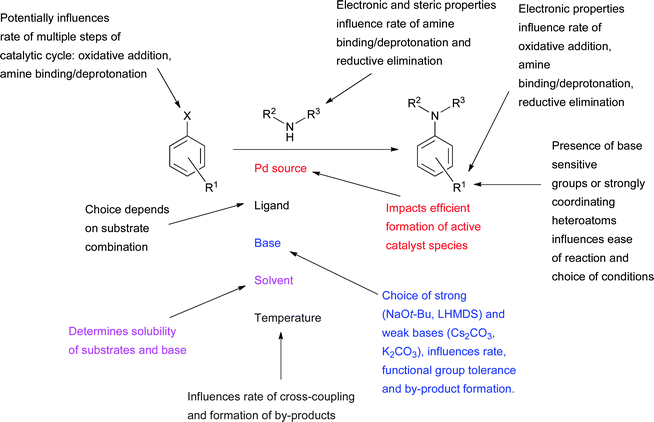 Factors influencing the outcome of a Pd-catalyzed amination reaction.