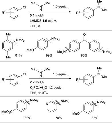 
            Catalysts based on L3 or L4 can effect the arylation of dimethylamine.