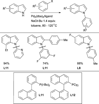 A variety of dialkylbiaryl phosphine ligands are suitable for the N-arylation of indoles.