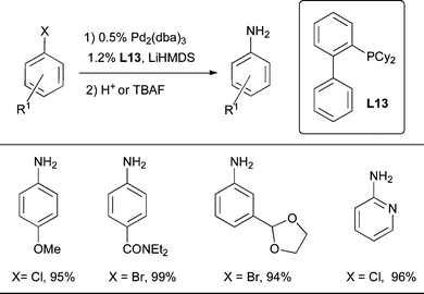 
            L13 is a useful ligand for the conversion of aryl halides to anilines using LiHMDS as the ammonia surrogate.221
