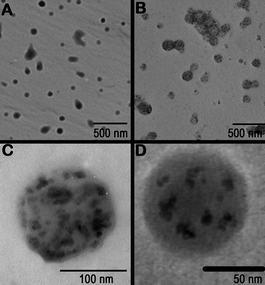 Representative TEMs of (A) PLGA (B) PLGA particles with incorporated magnetite, (C) PLGA particles with magnetite made from a 5 mg M−1 solution and (D) PLGA particles with magnetite made from a 1 mg M−1 solution.34 Reproduced with permission from Elsevier, copyright 2007.
