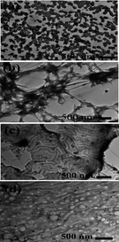 Selected TEM images of CMC nanocomposites with (a) Cu, (b) In, (c) Fe, and (d) Ag.40 Reproduced with permission from American Chemical Society, copyright 2007.