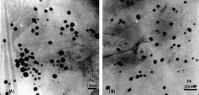 TEM images of gold (A) and platinum (B) nanoparticles in Au- and Pt-chitosan nanocomposites.49 Reproduced with permission from Elsevier, copyright 2004.