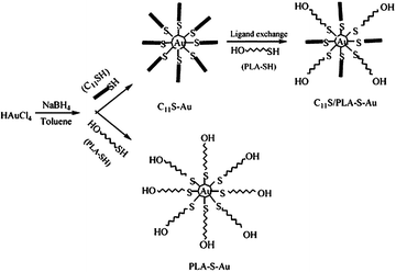 The route to fabricate and stabilize gold nanoparticles.27 Reproduced with permission from American Chemical Society, copyright 2004