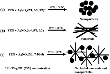 Schematic presentation of Ag a) nanoparticles, b) nanorods and c) nucleated nanorods and nanoparticles formation mechanisms.67 Reproduced with permission from American Chemical Society, copyright 2008