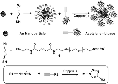 Functionalization of gold nanoparticles using click chemistry.78 Reproduced with permission from American Chemical Society, copyright 2006