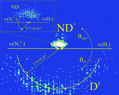 The CM frame scattering diagram for the reaction N22+ + D2 → ND+ + D+ + N, showing the scattering of ND+ and D+, relative to the direction of the reactant dication velocity w(N22+), derived from PSCO data recorded at ECM = 1.8 eV. The inset shows the scattering of the ND+ fragment on a larger scale. See text for details.