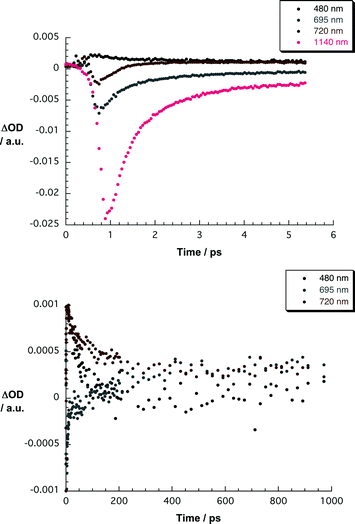 Upper part—time-absorption profiles of the spectra shown in Fig. 9 at 480, 695, 720, and 1140 nm monitoring the charge separation. Lower part—time-absorption profiles of the spectra shown in Fig. 9 at 480, 695 and 720 nm monitoring the charge recombination.