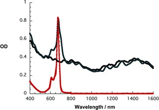 Absorption spectra of 1 in THF (red), SWNT/1 in THF (gray), and SWNT/SDBS in D2O (black).
