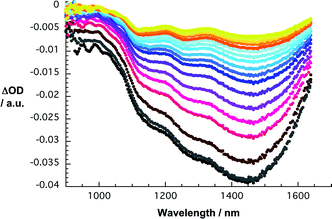 Differential absorption spectra (extended near infrared) obtained upon femtosecond flash photolysis (387 nm) of SWNT/SDBS in D2O with several time delays between 0 and 5 ps at room temperature—time evolution from black to red to blue to orange and yellow.