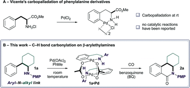 
          Amine directed Pd(ii)-catalyzed C–H functionalization.